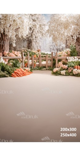 Tło fotograficzne wiosenna farma z marchewkami i kwiatami | E567